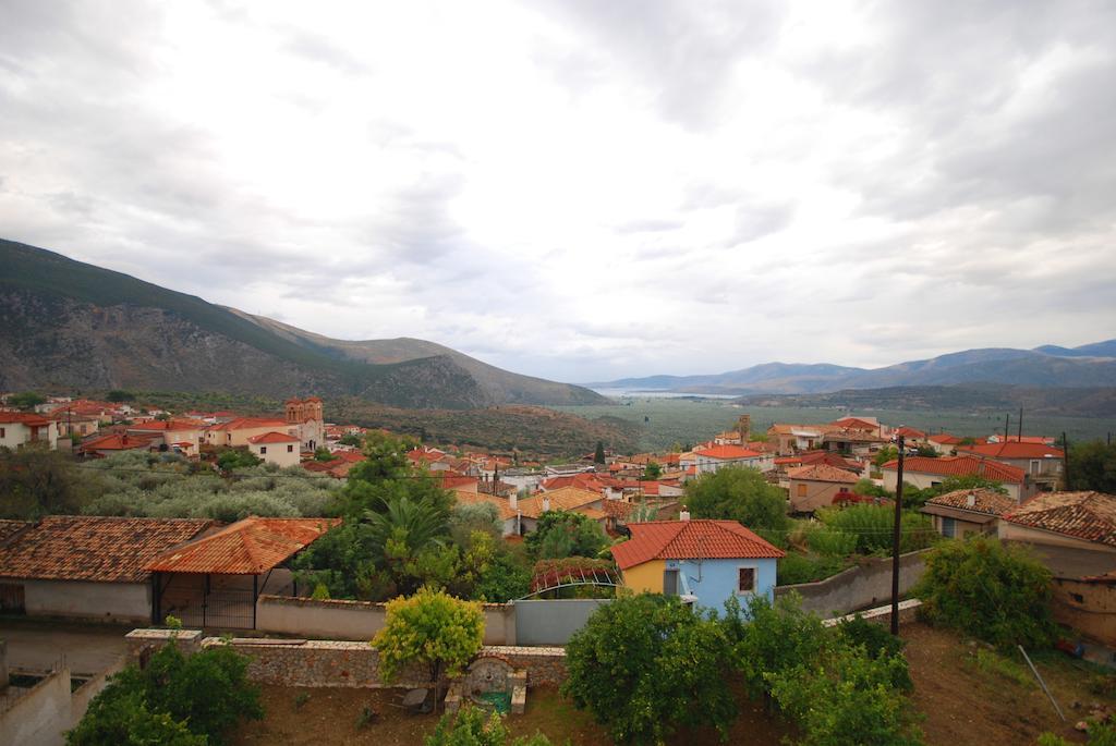 Xenonas Chrisso Hotel Delphi Bagian luar foto